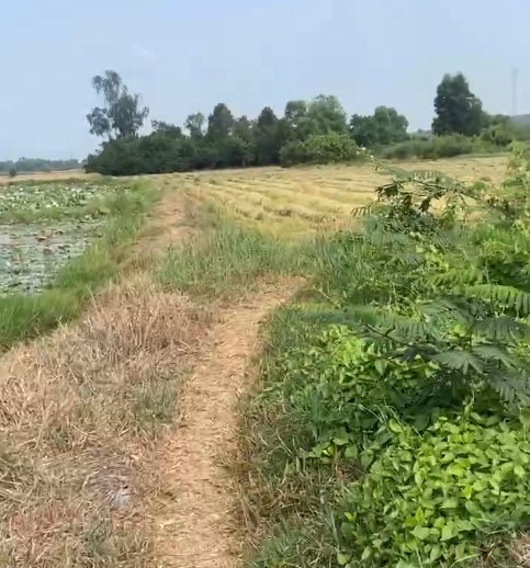 Ảnh 3