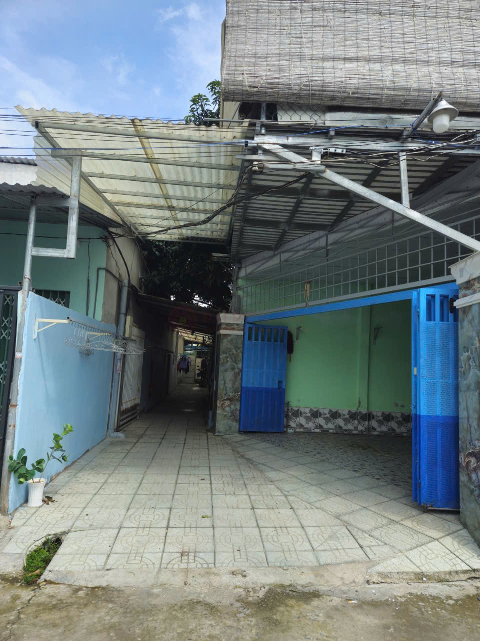 Ảnh 2