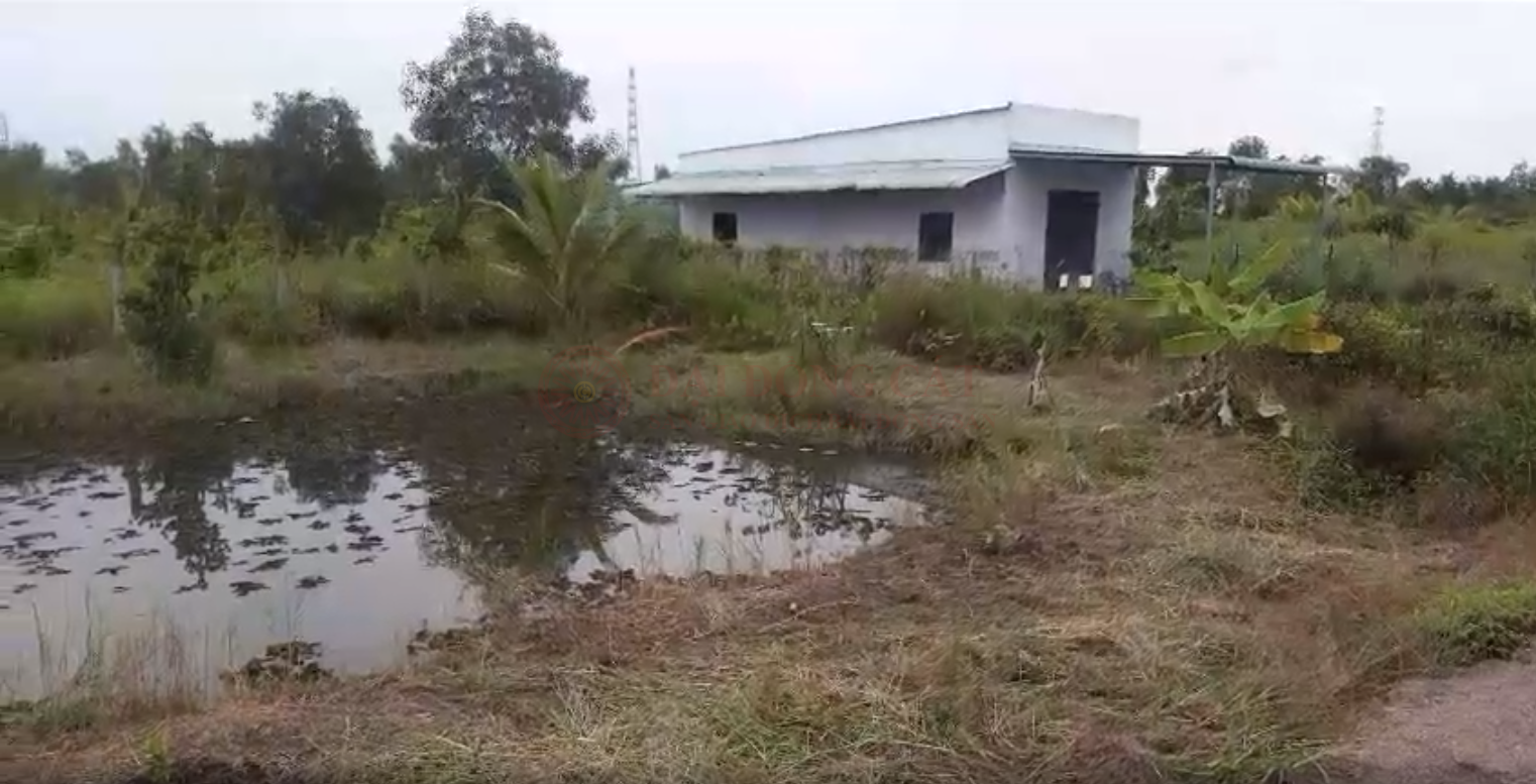 Ảnh chính
