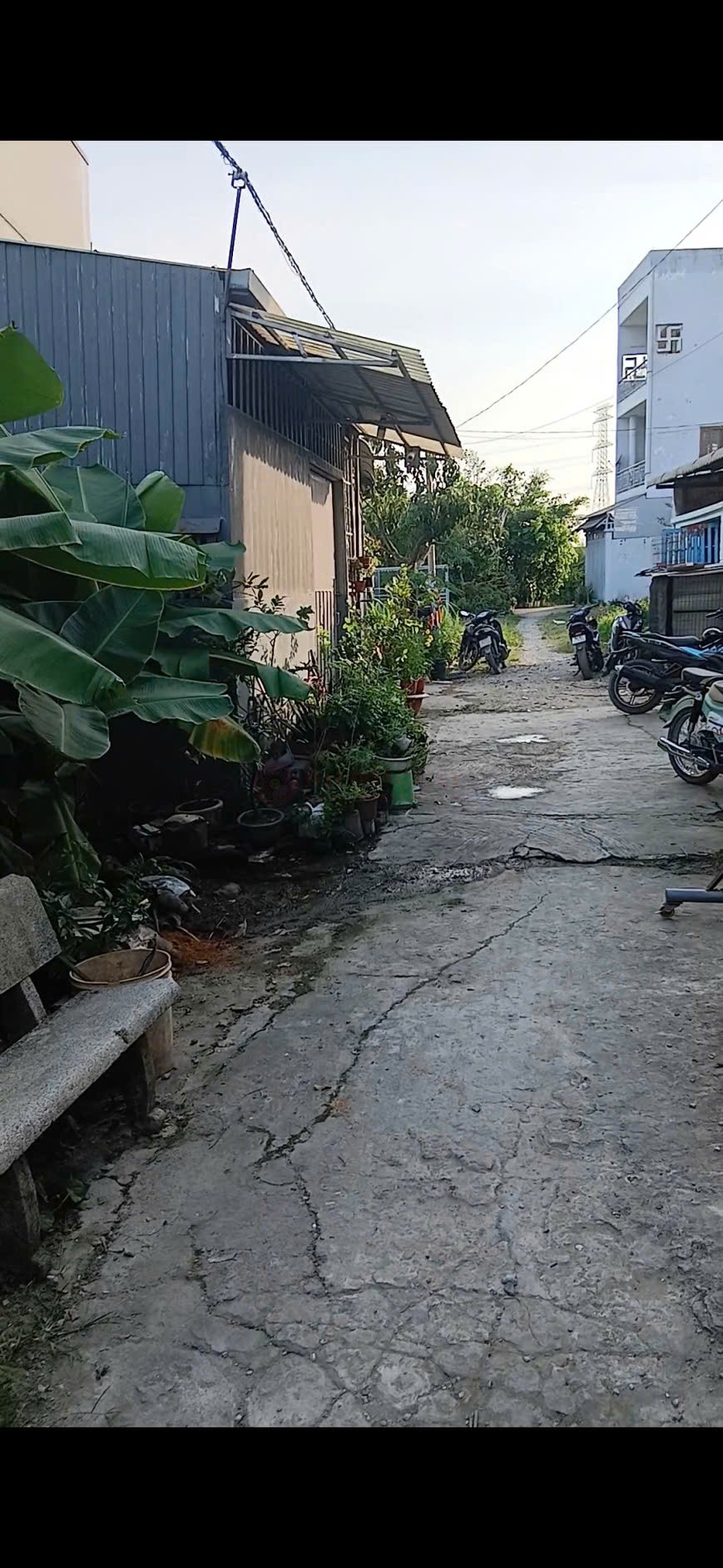 Ảnh 3