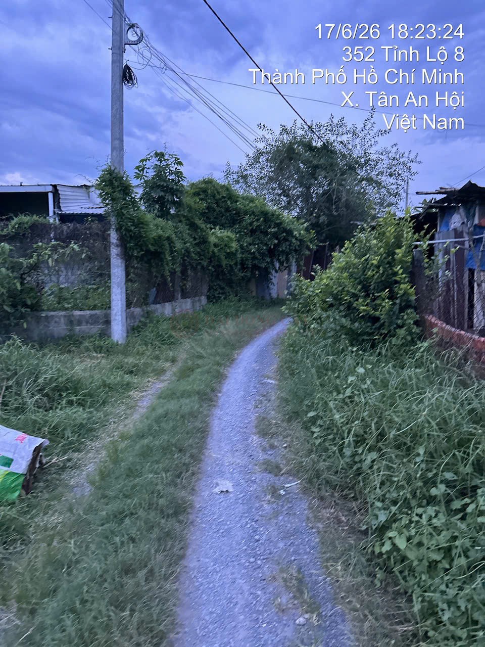 Ảnh 3