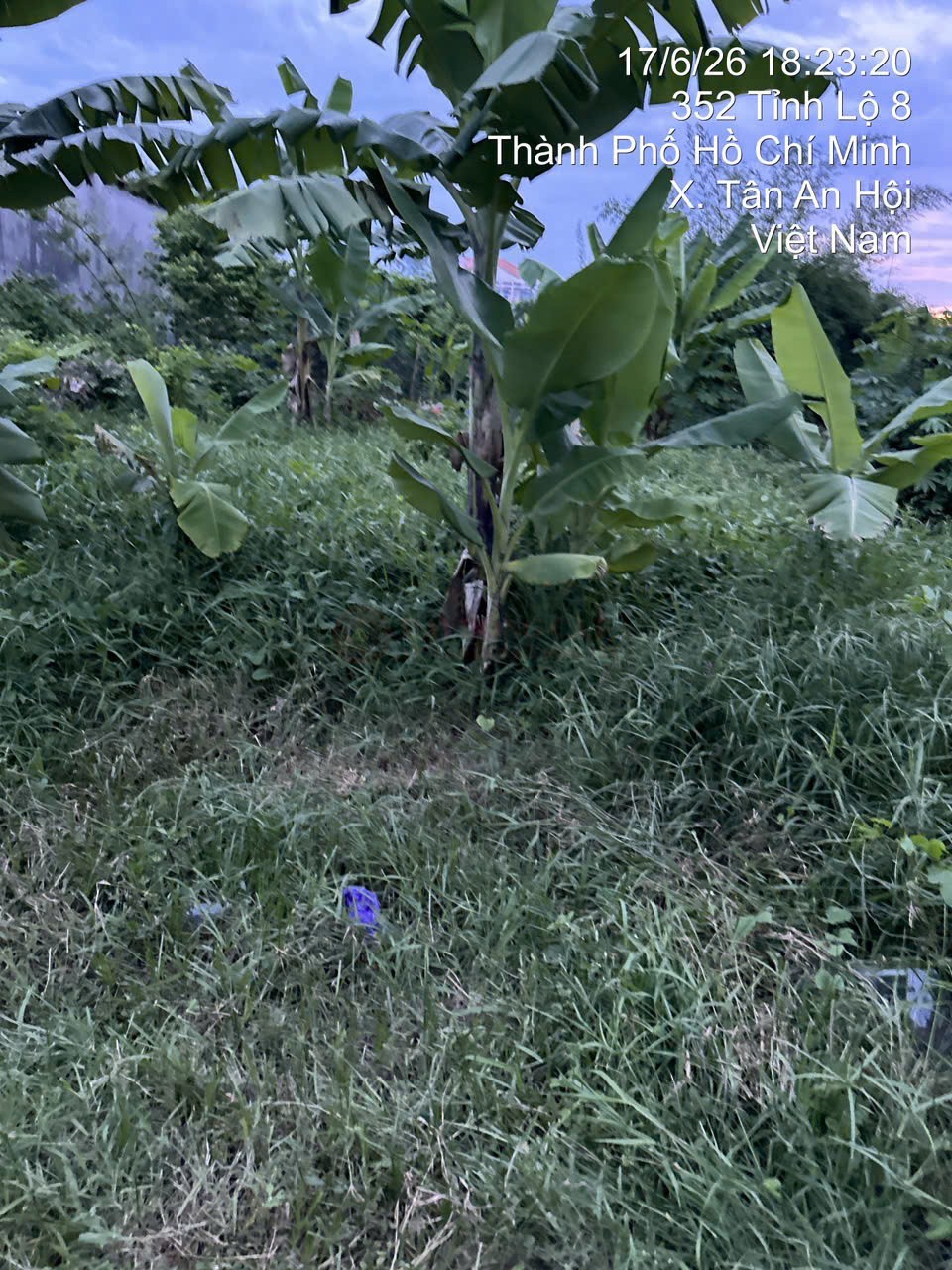 Ảnh 2