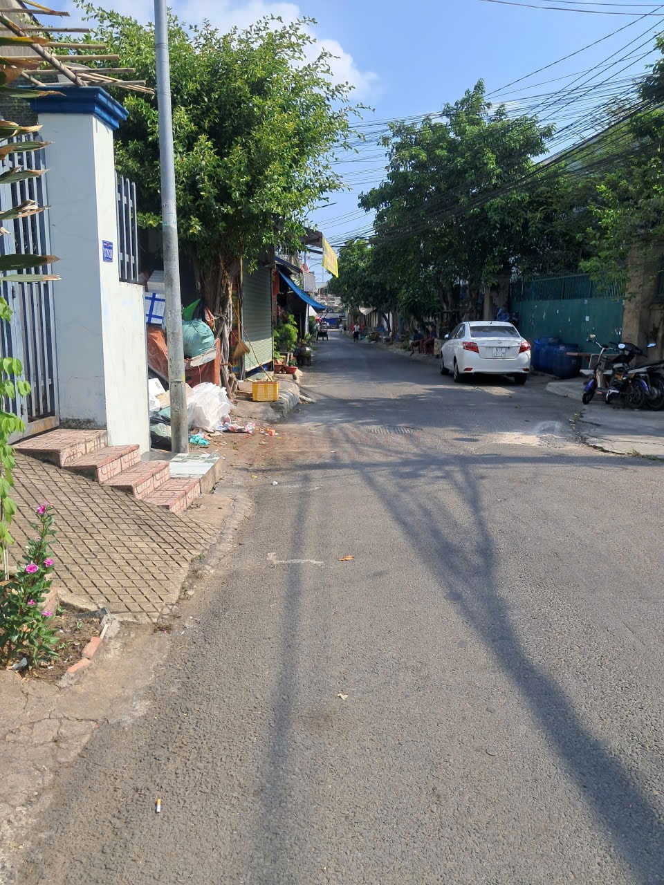 Ảnh 3