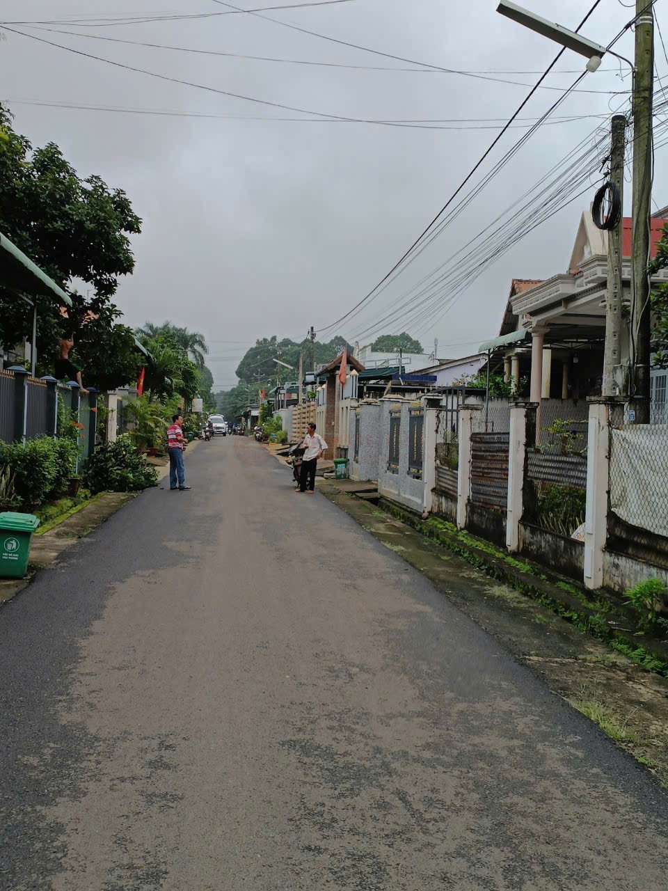 Ảnh chính