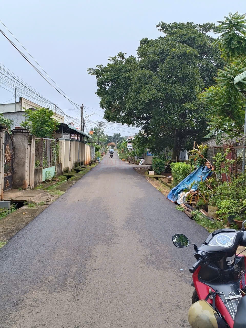 Ảnh 2