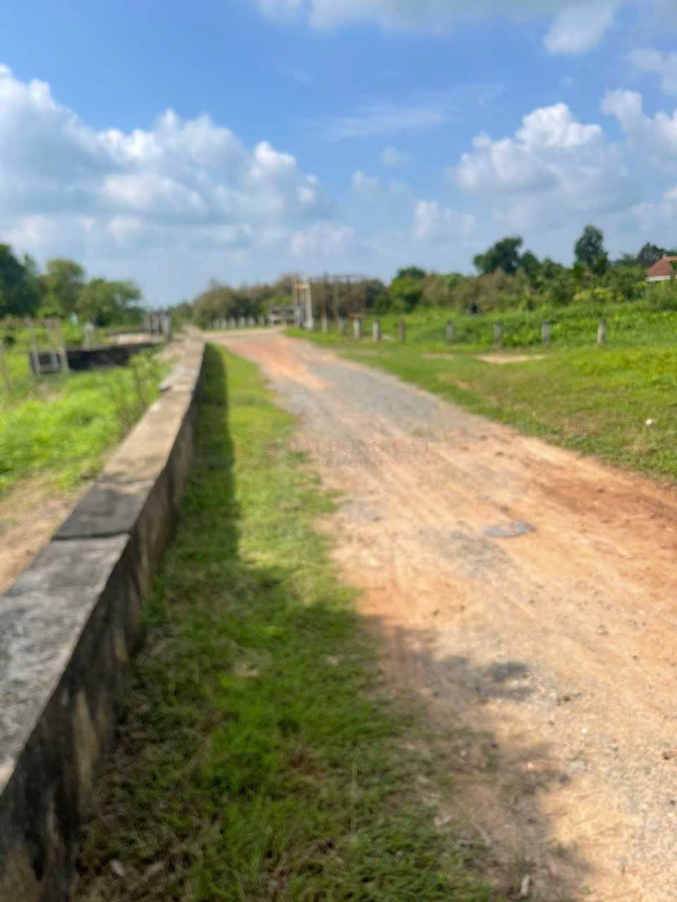Ảnh chính