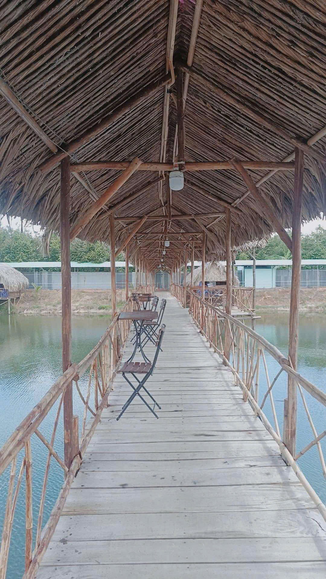 Ảnh 2