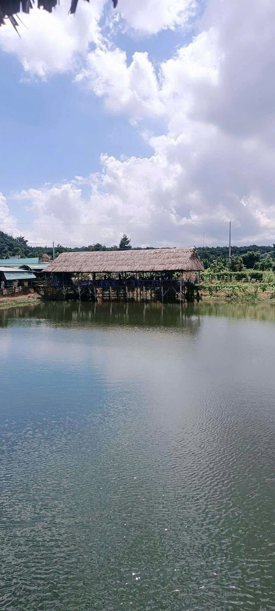Ảnh chính