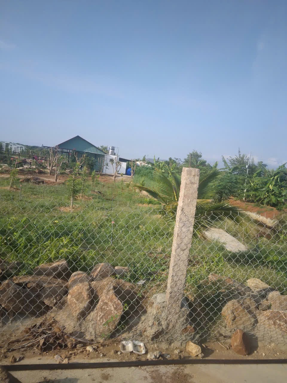 Ảnh 3