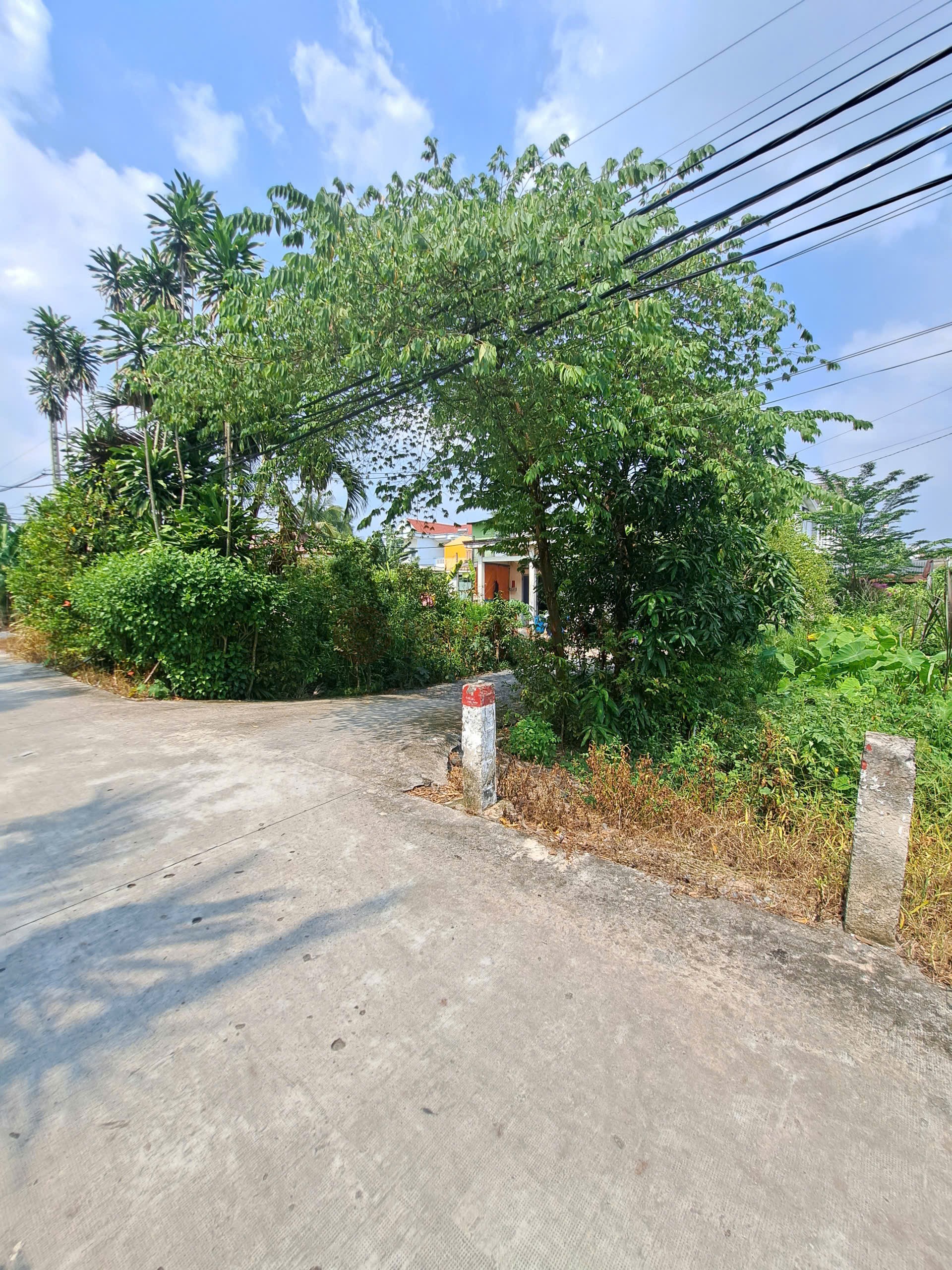 Ảnh 2
