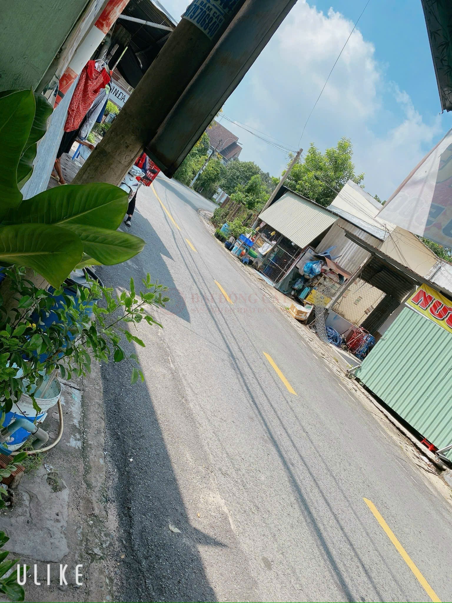 Ảnh 2