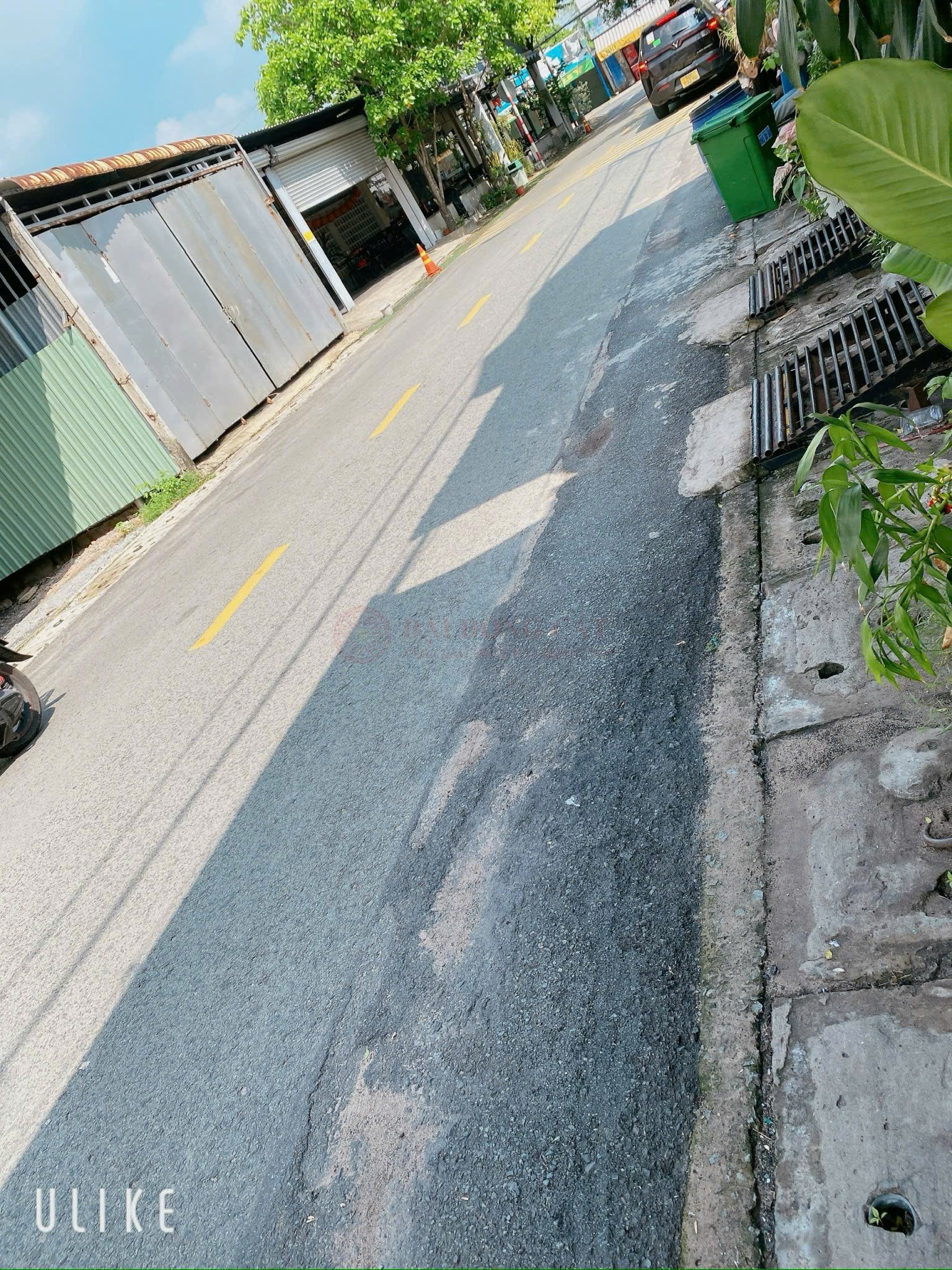 Ảnh 3