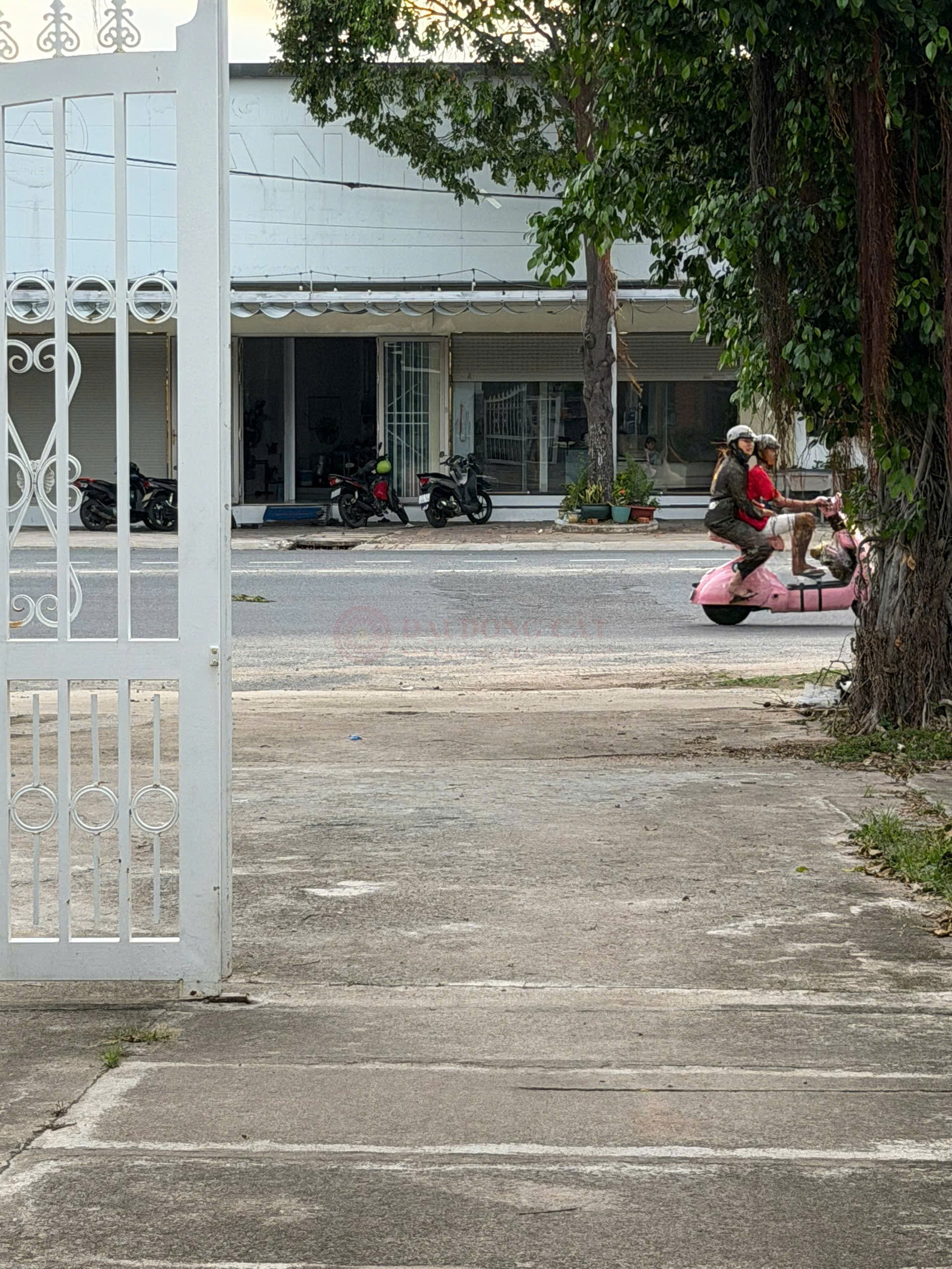 Ảnh chính