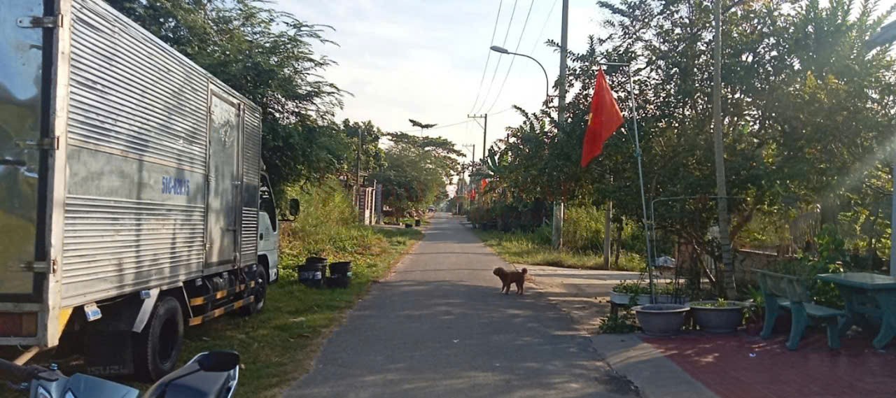 Ảnh chính