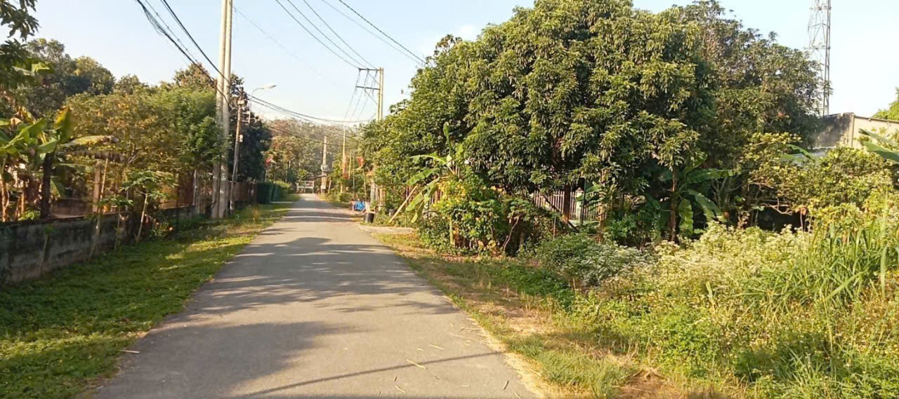 Ảnh 2
