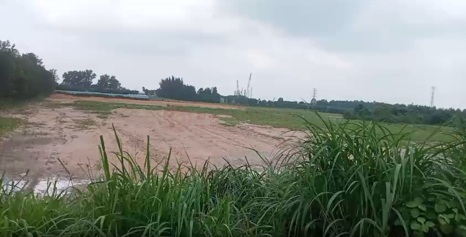 Ảnh chính