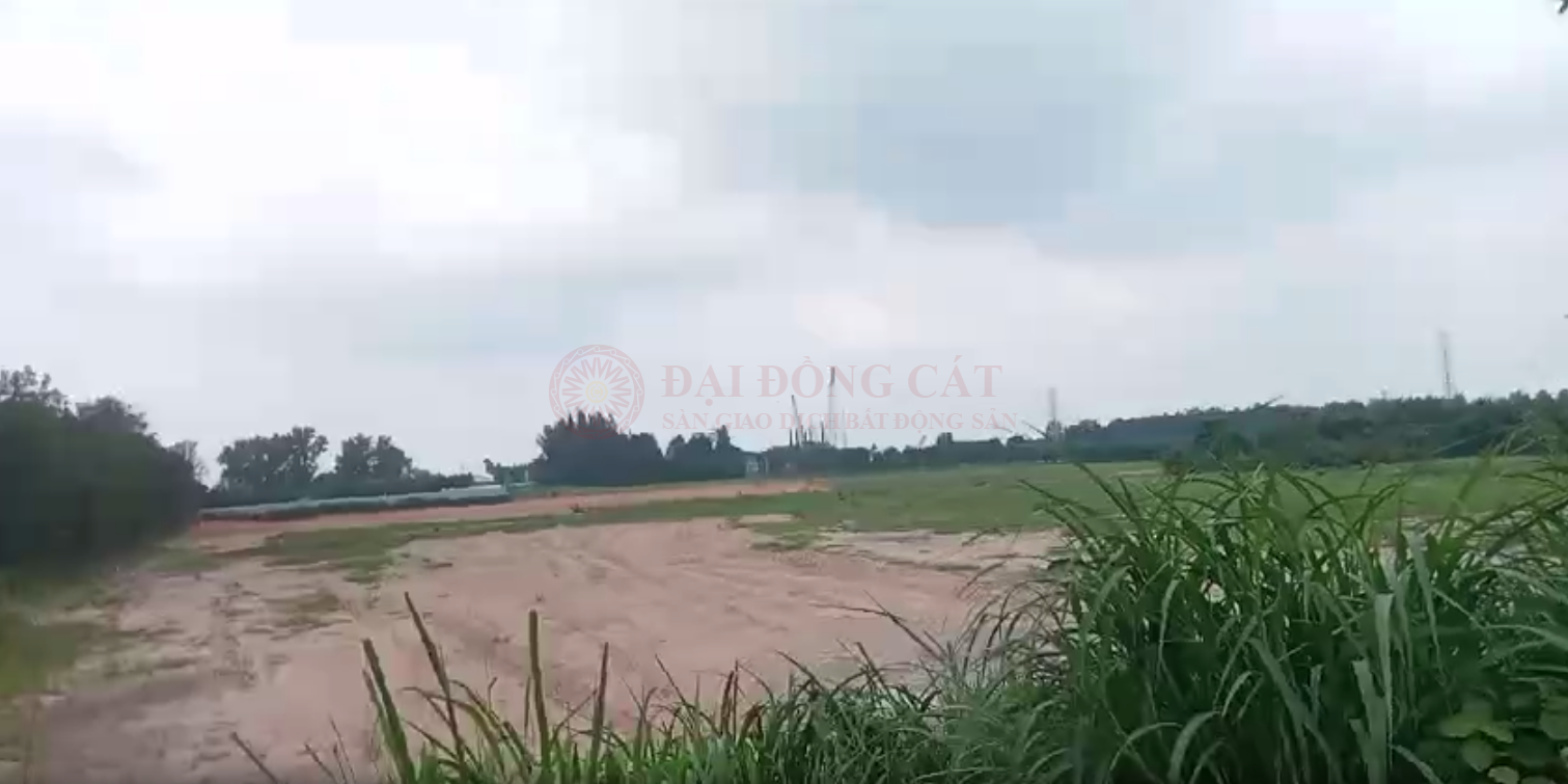 Ảnh 2