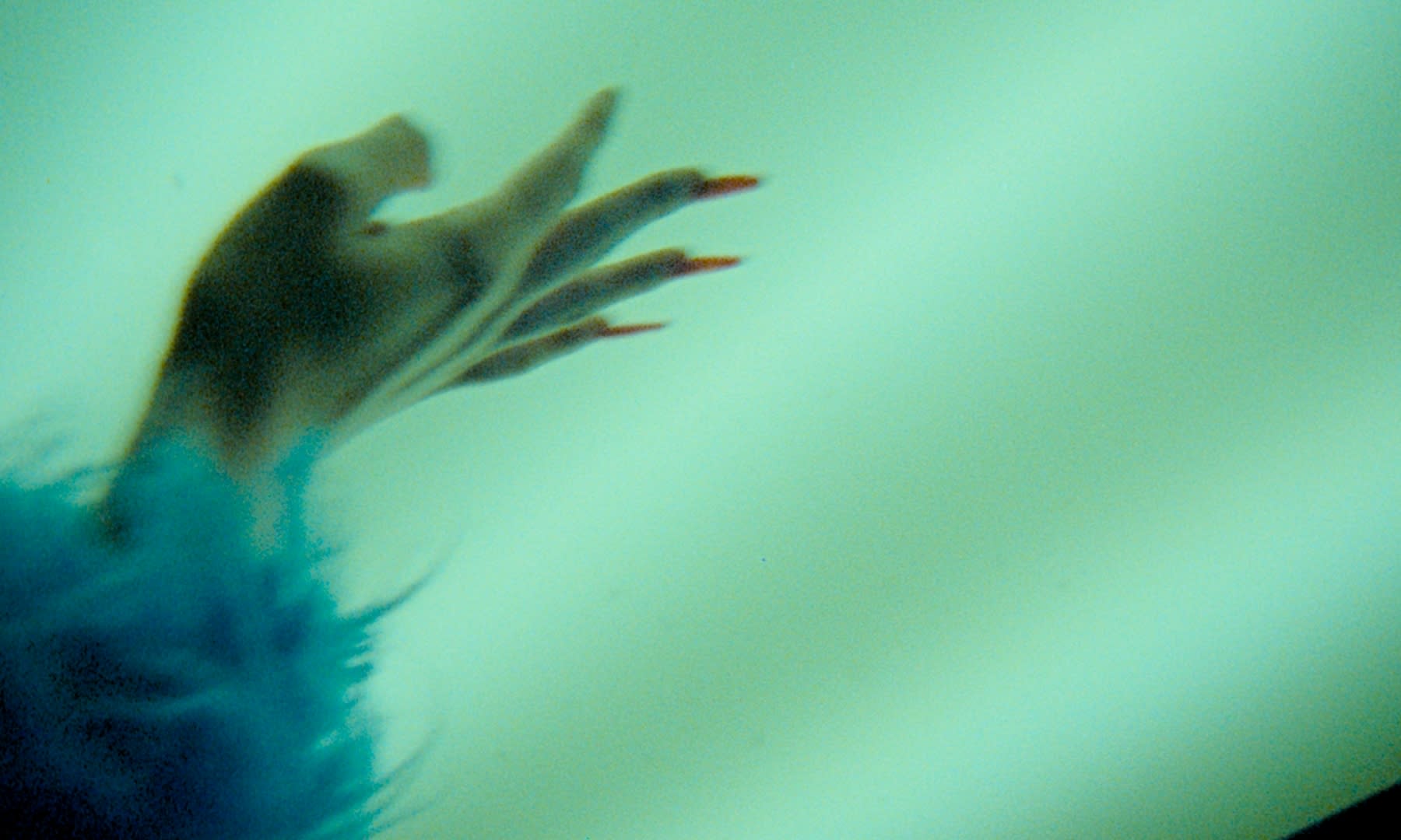Kreatives Color-Grading für einzigartige Bildstimmung: Verschwommene Hand, blaue Feder, Aquamarin-Töne.
