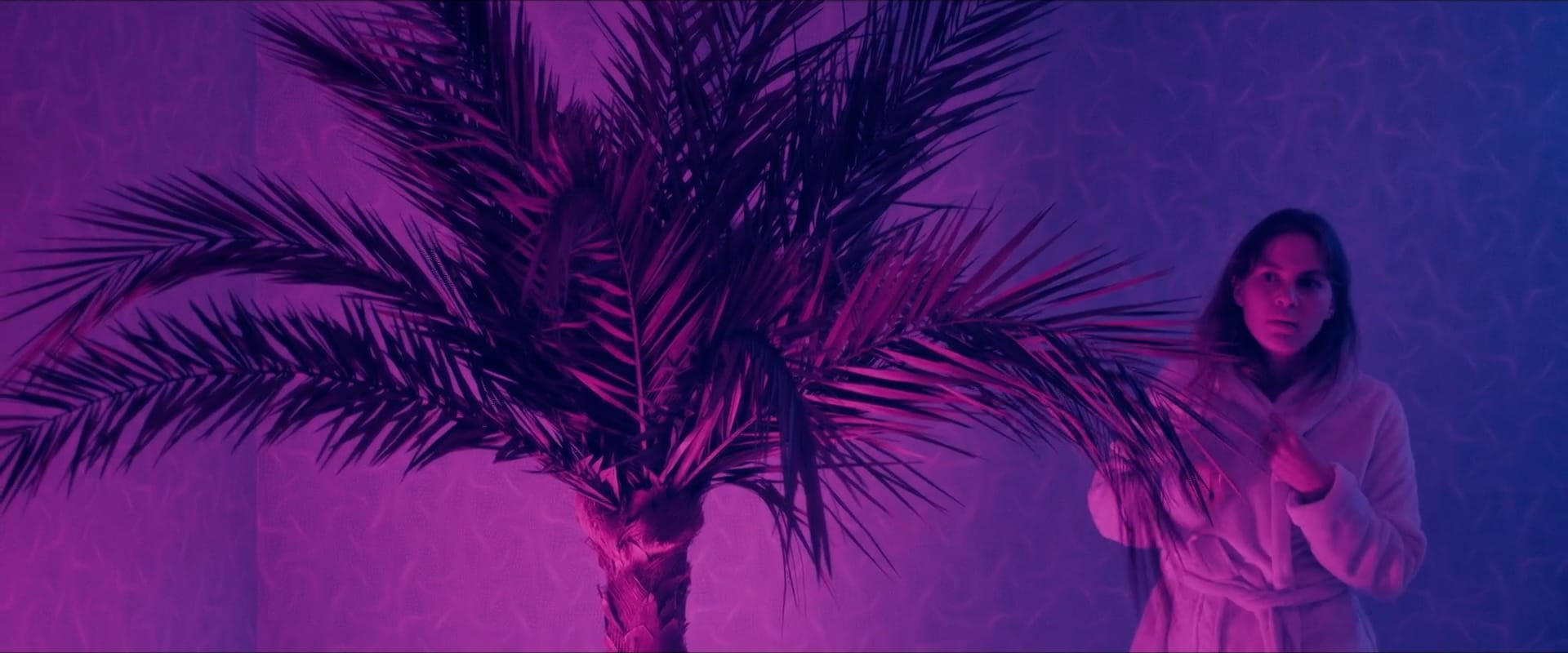 Meisterhaftes color-grading: Frau und Palme in atmosphärischem Pink-Violett-Licht.