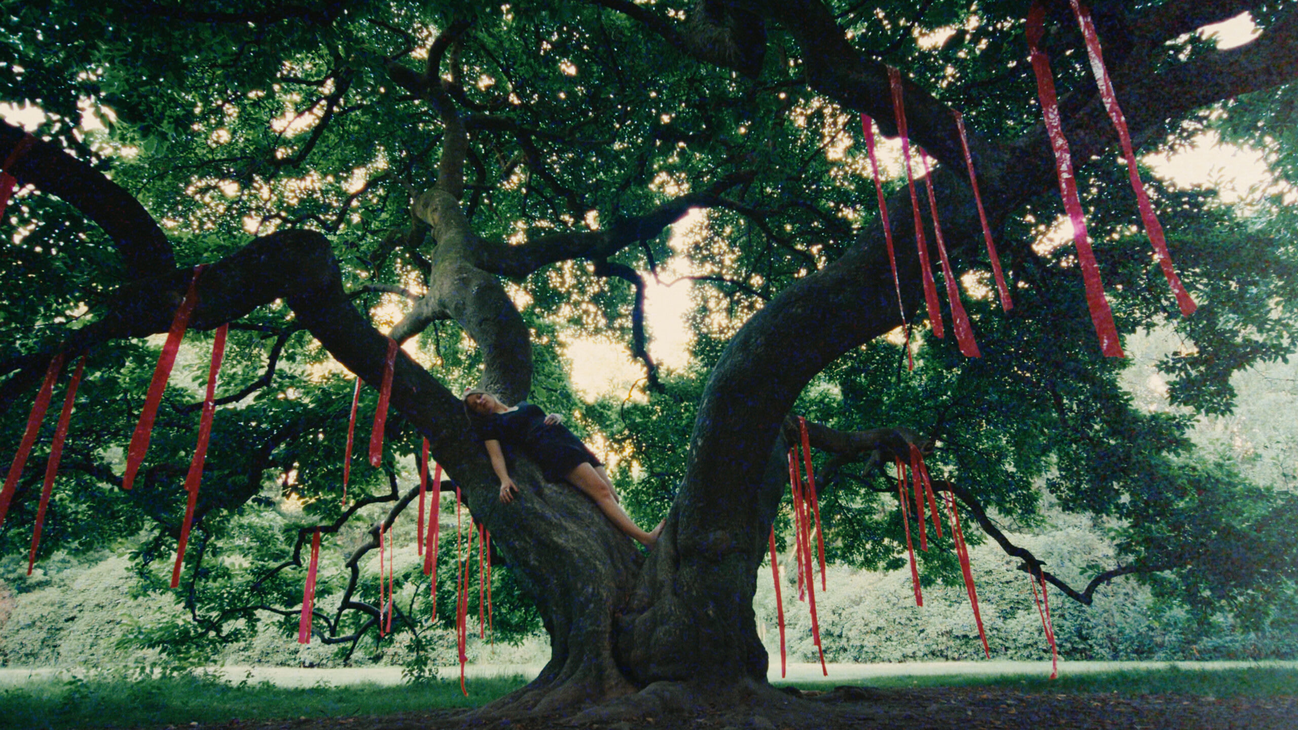 Baum mit roten Bändern, eine Frau schläft darin, stimmungsvolle color-grading Bearbeitung.