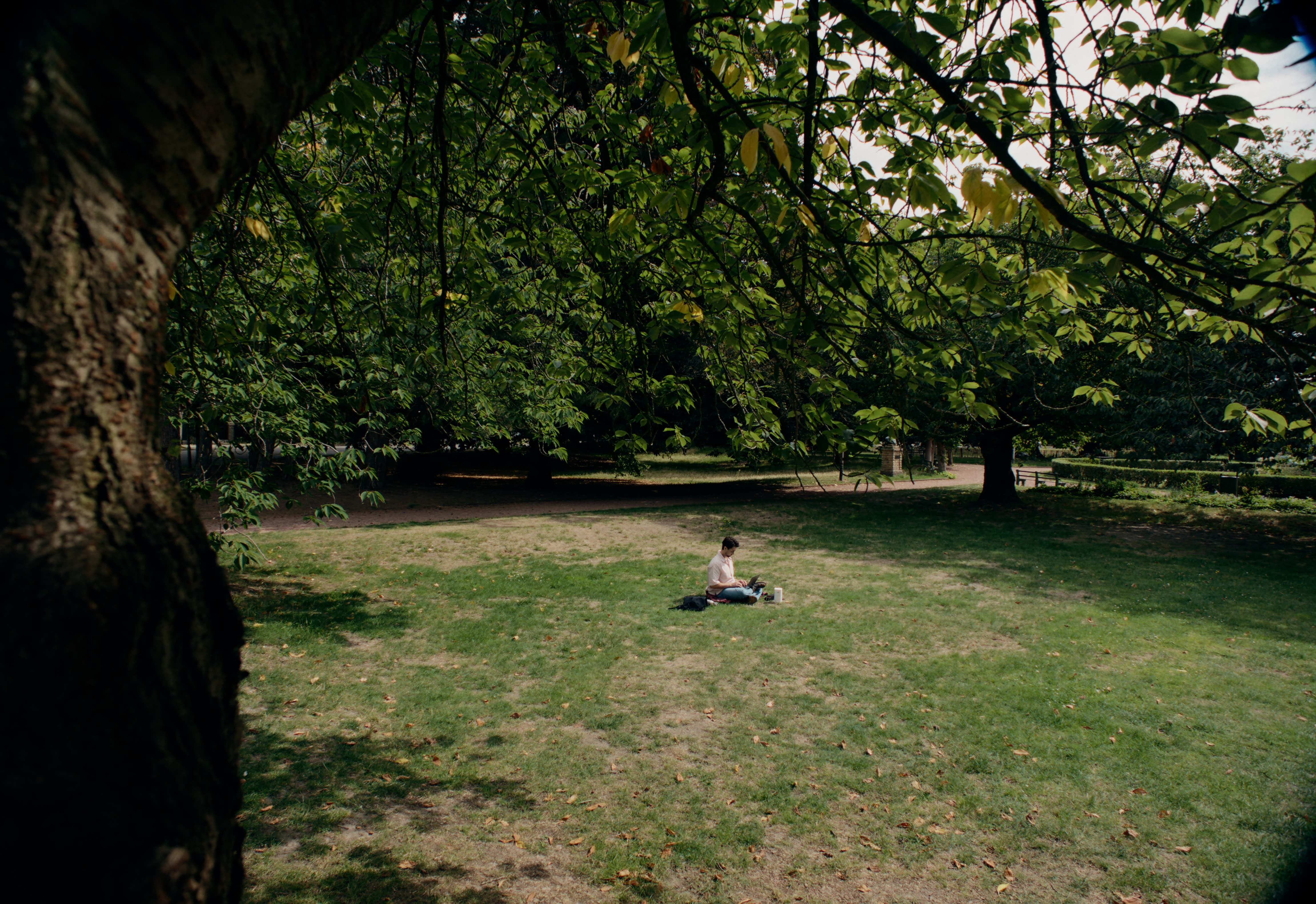 Natürliches Licht und lebendige Grüntöne durch professionelles Color-Grading im Park.