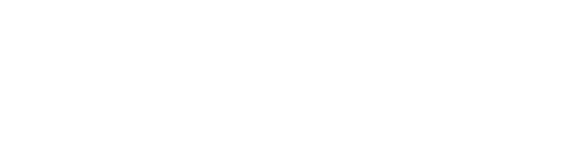 BSI
