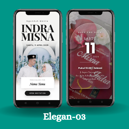 Tema Elegan 03