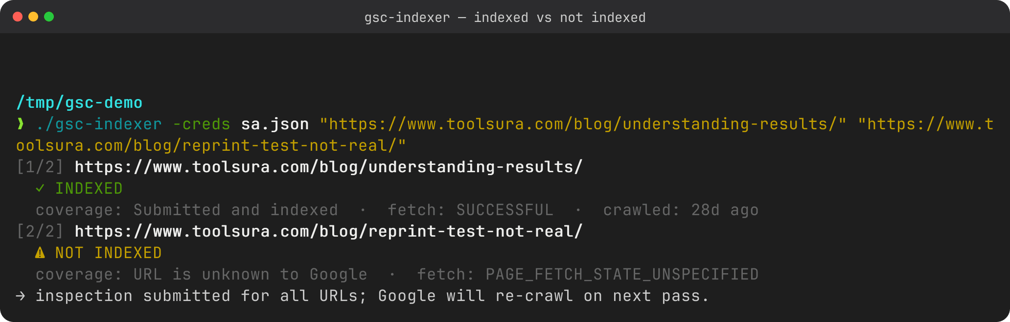 Real gsc-indexer run showing both verdicts side by side: the first URL returns a green ✓ INDEXED, the fake URL returns a yellow ⚠ NOT INDEXED with coverage "URL is unknown to Google".