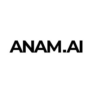 Anam AI — Growth Plan