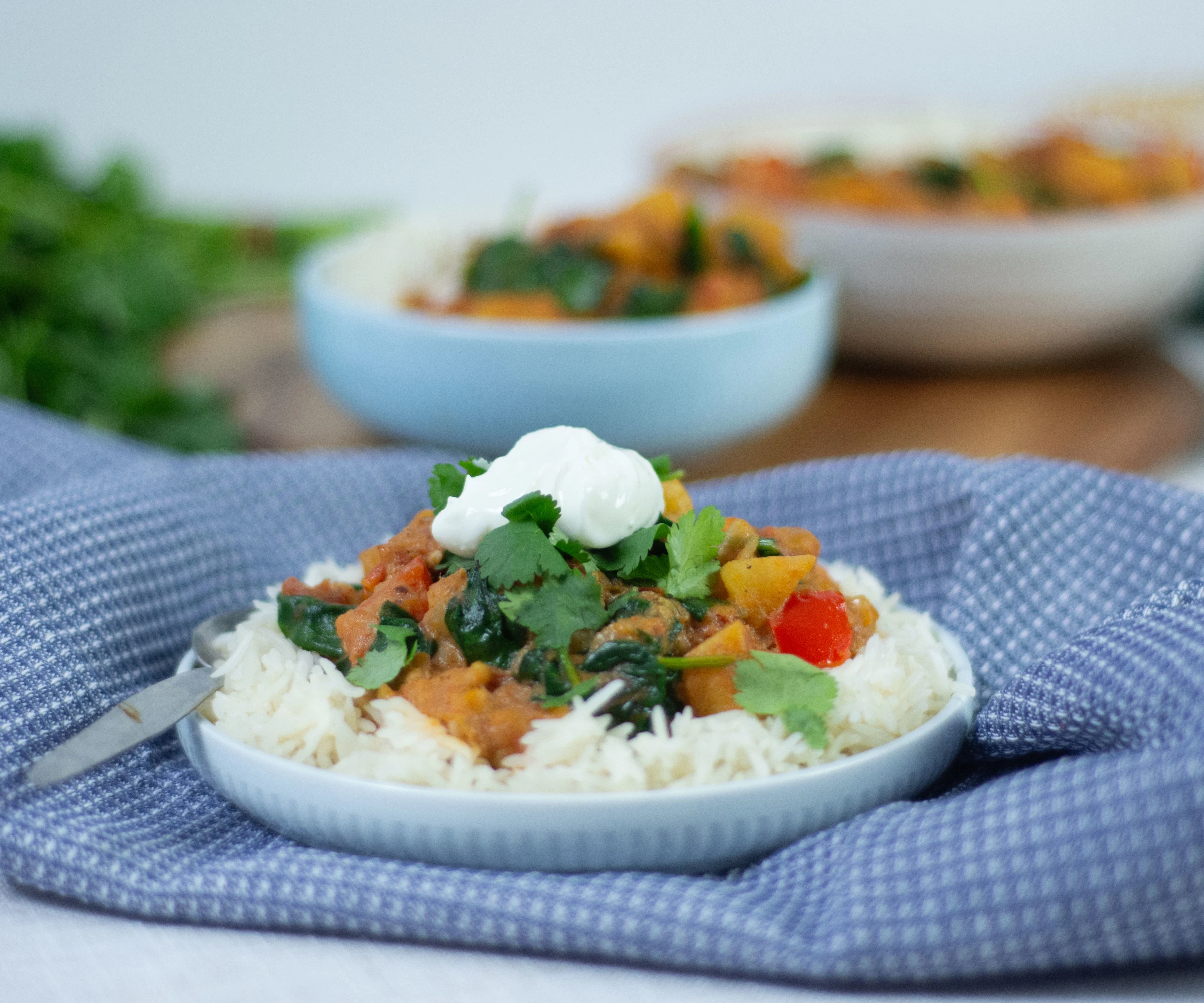 Plate of rice with potato stew on top