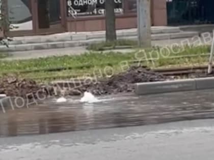 В центре Ярославля забил гейзер