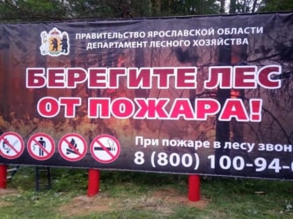 Патрулирование во время пожароопасного сезона в лесном фонде региона будет проводиться по 249 маршрутам