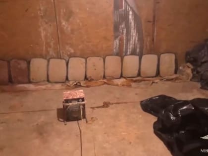 12 килограммов мефедрона: в Ярославской области раскрыли крупную нарколабораторию