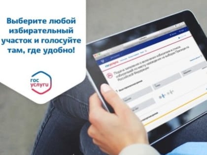 Ярославцы и на сентябрьских выборах могут голосовать дистанционно