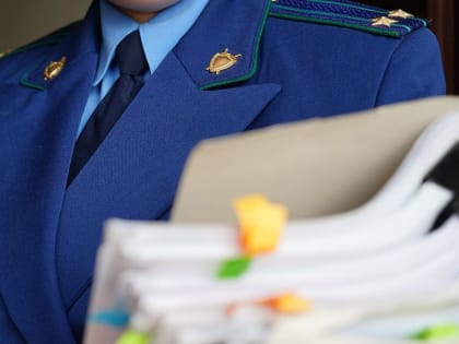 Фиктивный директор ярославской компании может сесть на шесть лет