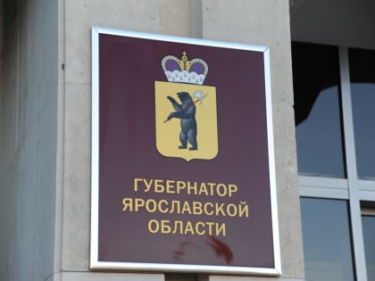 Губернатор Ярославской области поручил внедрить региональный социальный стандарт