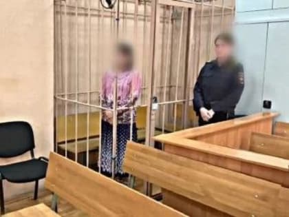В Ярославле обвиняемую в похищении ребенка отправят лечиться