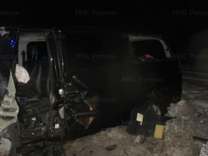 По факту смертельного ДТП в Ярославской области возбуждено уголовное дело