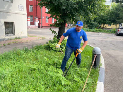 Детский омбудсмен объявил войну борщевику в центре Ярославля