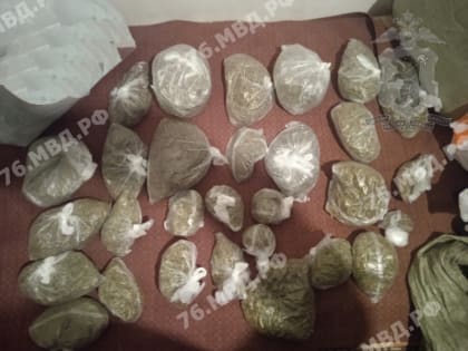 В Рыбинском районе изъяли крупную партию марихуаны и конопли