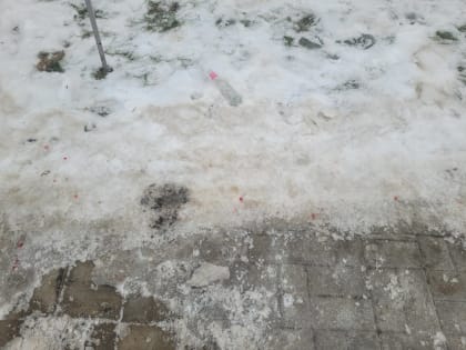 В ярославском жилом комплексе случилась драка
