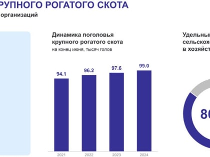 Рост поголовья крупного рогатого скота в России