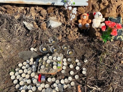 Ярославского губернатора просят отчитаться о помощи семьям детей, погибших в Рыбинске