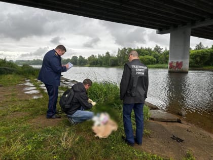 В Ярославле мать задержали за утопление 10-месячного ребенка