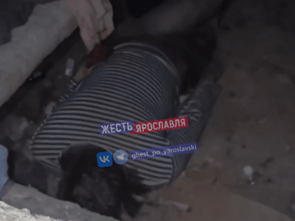 Необычная находка в Дзержинском районе Ярославля