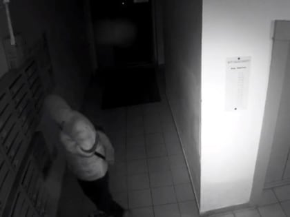 В Ярославле нашли вандалов, изуродовавших подъезд многоэтажки