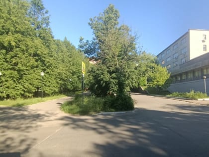 Ярославцы собрали более тысячи подписей в защиту сквера у парка Нефтяников