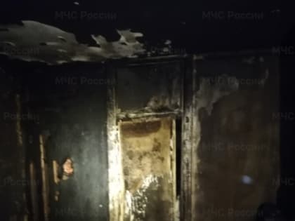 Трагедия в Ярославле: Пожар унес жизнь семилетнего ребенка