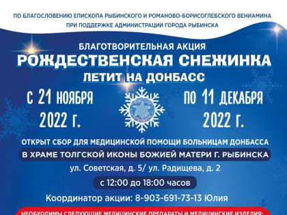 В Рыбинске проходит благотворительная акция «Рождественская снежинка летит на Донбасс»