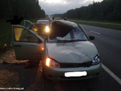 Еще в одном ДТП с лосем пострадали люди